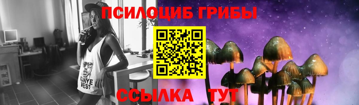 Бердск  Галлюциногенные грибы Psilocybine cubensis  Вход с VPN 